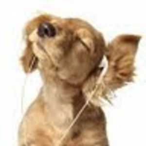 Meet your Posher, Haneul